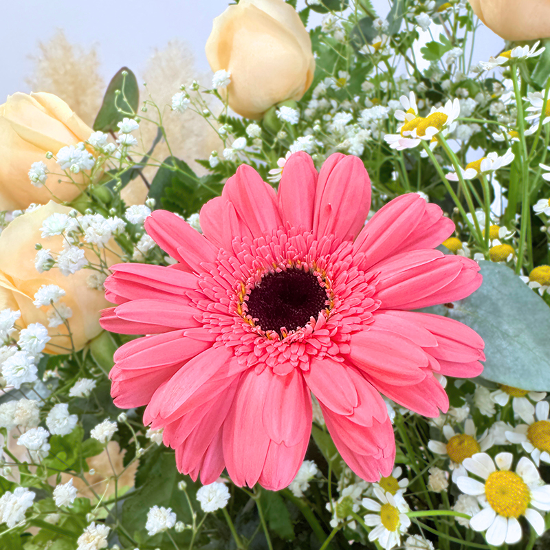 elegant grand opening flower stand showcasing pink gerberas, champagne roses, baby's breath and chamomile with decorative golden leaves