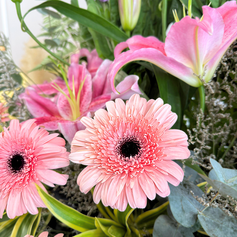 wrapped flower bouquet stand featuring a blend of pink gerberas, stargazer lilies, and matthiola with natural green accents.