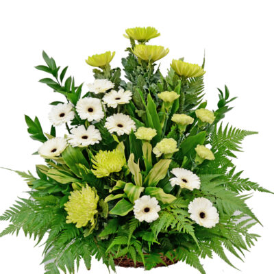 funeral flower with chrysanthemum, white gerbera and carnation arranged in a basket.