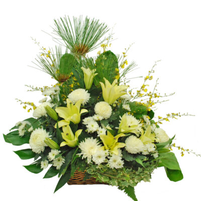 funeral flower basket with yellow conca d'or lilies, white chrysanthemums, dancing lady flowers and green foliage in a basket