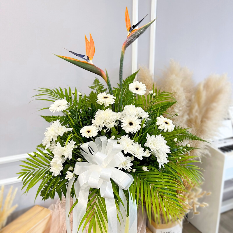 a funeral flower stand with tall bird of paradise flowers, white gerbera daisies and chrysanthemum pompom accents wrapped with white ribbon
