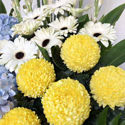 funeral standing flower featuring yellow chrysanthemum, white gerbera, blue hydrangea and cascading greenery arranged on a tall stand