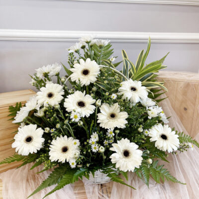 funeral flower bouquet basket featuring white gerbera and white chrysanthemum pompom with green foliage in a white container