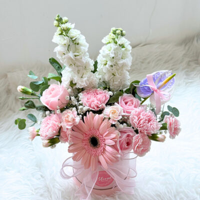 flower in a box with pink rose, pink carnation, white matthiola, and a purple anthurium tied with a pink ribbon