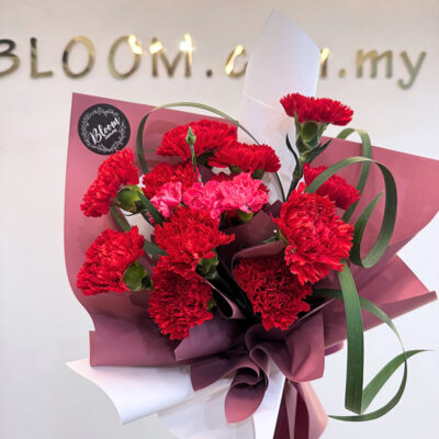 hand bouquet with vibrant red carnations and carnation spray, wrapped in layered mauve and white paper with curled green leaves