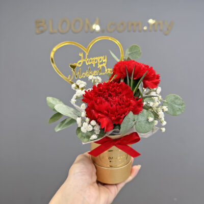 flower arrangement of 2 red carnations with white baby's breath and green leaves in a gold box with a red ribbon and happy mother day stick
