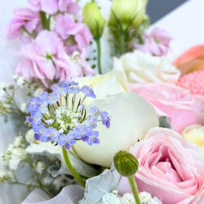a bouquet of mixed flowers including pink chrysanthemum pingpong flower, white rose, pink rose, and delicate baby’s breath wrapped in translucent paper