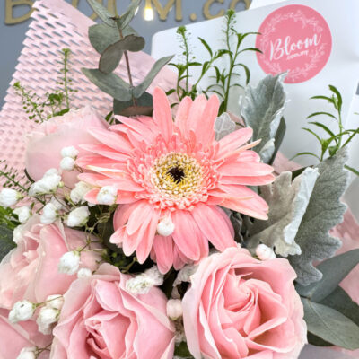 a bouquet featuring pink roses, pink gerbera, and baby's breath with green foliage wrapped in delicate white and pink layers