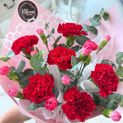 a bouquet featuring vibrant red carnations and small pink carnation sprays wrapped in soft pink with decorative white netting